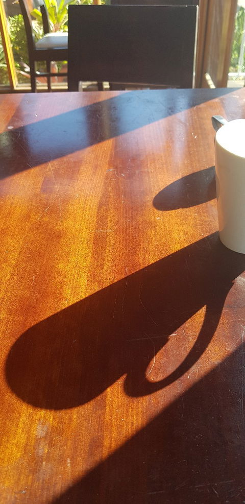 Nouveau - Dentist Search 2