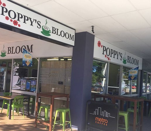 Poppys on Bloom