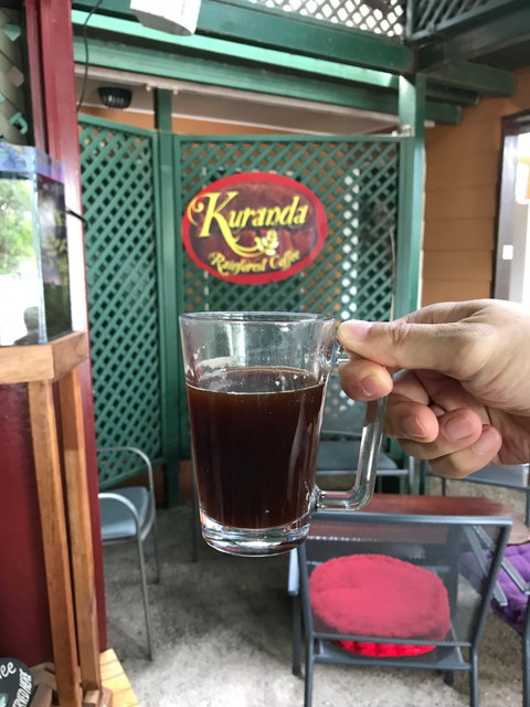 Kuranda Rainforest Coffee - Dentist Find 3