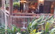 Kuranda Veranda - thumb 4