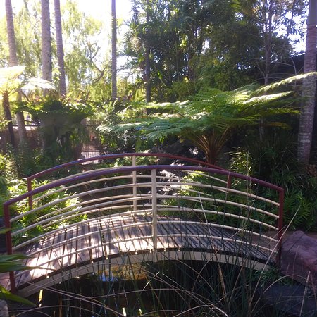 Lorikeet's Coffee Shop