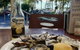 Ellis Beach Bar & Grill - thumb 2