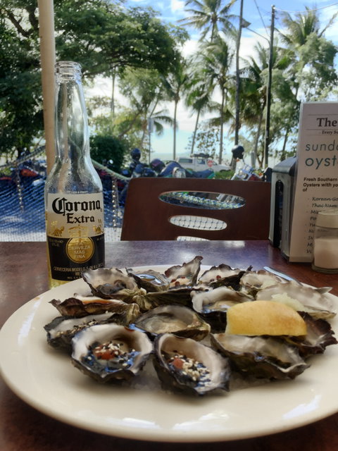 Ellis Beach Bar & Grill - Dentist Find 2