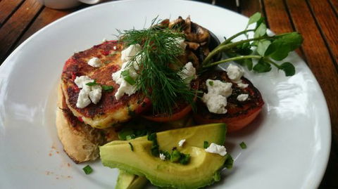 Green Turtle Cafe & Bar - Dentist Find 0