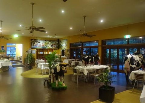 Malanda Dairy Centre - Dentist Find 0