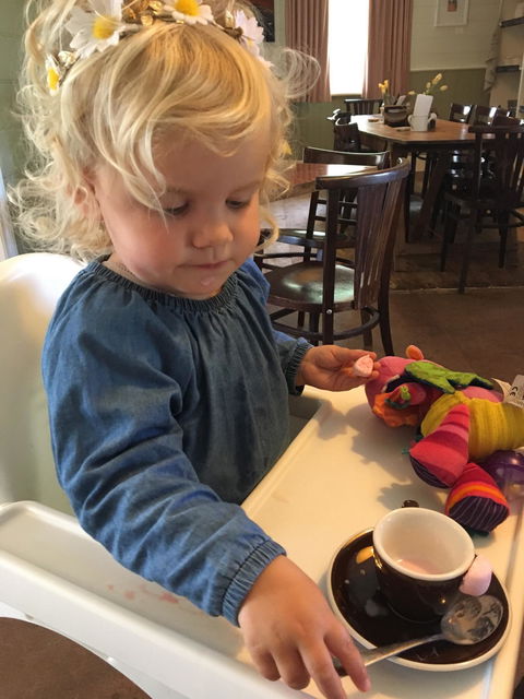 Basalt Vineyard Cafe - Dentist Find 4
