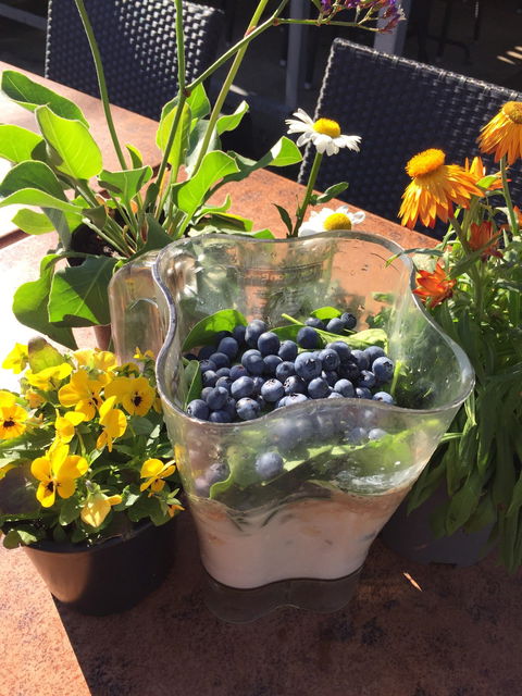 Island Fruit Barn - Dentist Find 5