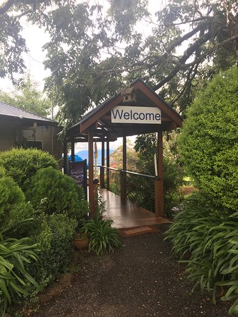 Killarney QLD Dentist Find