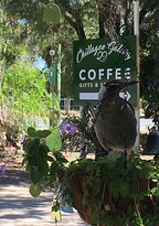 Chillagoe Gallery 29 - Dentists Australia 1