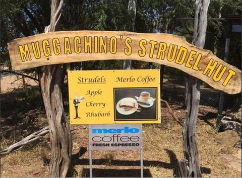 Muggachinno's - Dentist Find 0