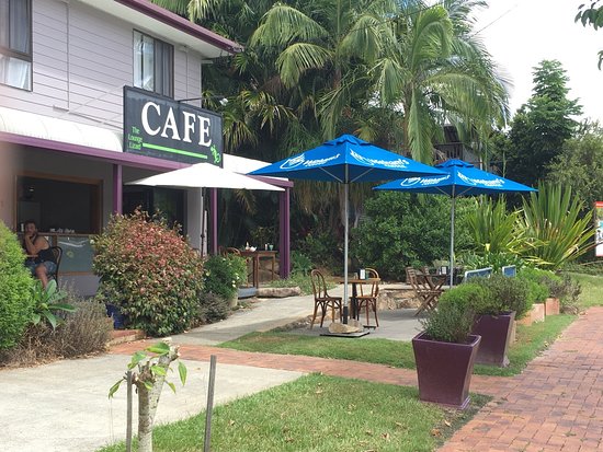The Lounge Lizard Cafe