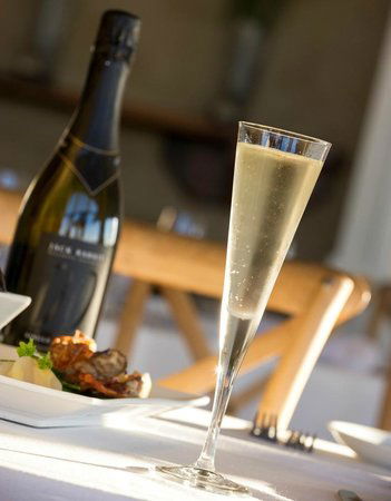 Jack Rabbit Vineyard - Dentist Search 0