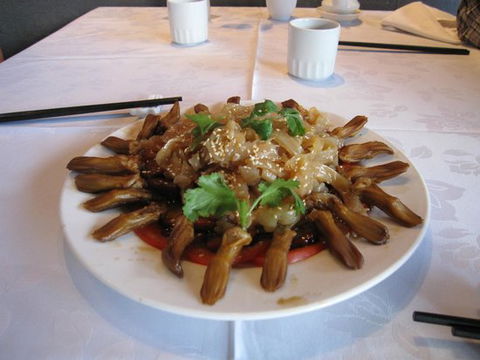 Triple King Chinese Restaurant - Dentist Find 0