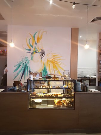 Warralily Cockatoo