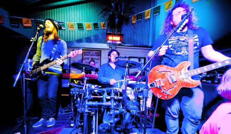 The Bearded Dragon Hotel