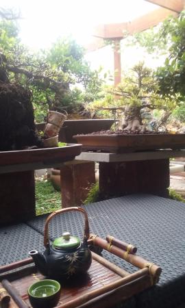 Sweet grass bonsai nursery Cafe