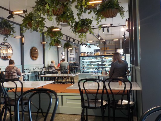 Rex Espresso