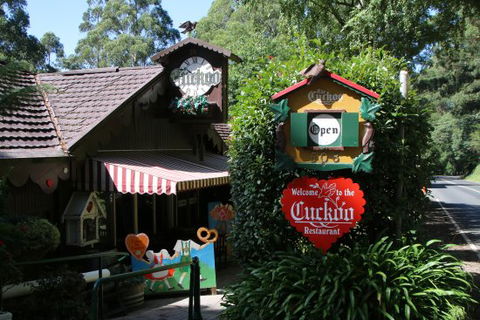 Cuckoo Restaurant - Dentist Search 0