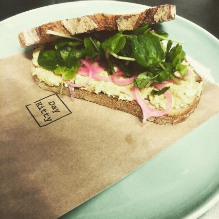 Day Kitty - Dentist Search 0