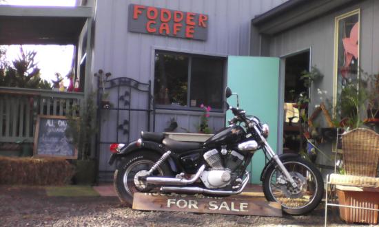Fodder Cafe Curios