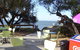 The Boatramp Cafe - thumb 0