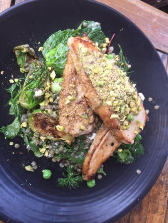 The Pond Cafe - Dentist Search 0