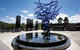 Blue Tree Grill - thumb 0