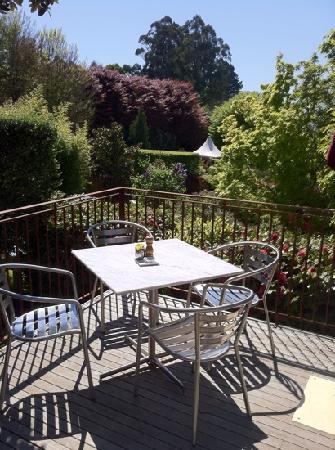 Chatterley's  Cloudehill Nursery