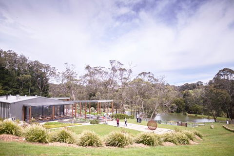 Green Olive At Red Hill - Dentist Find 0