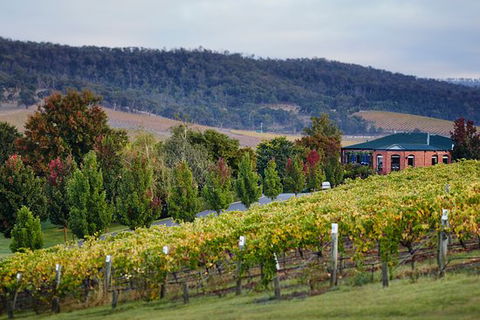 De Bortoli Winery & Restaurant - Dentist Find 0