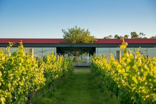 Oakridge Wines