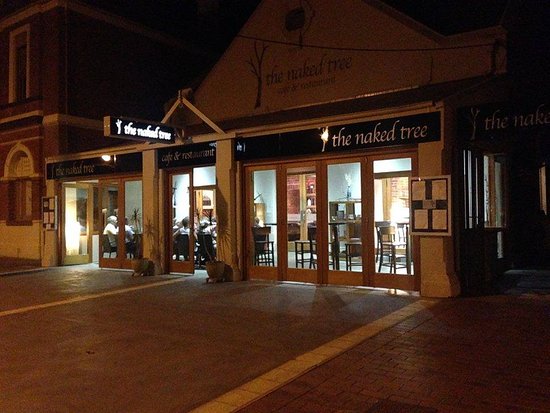 The Naked Tree - Cafe Restaurant