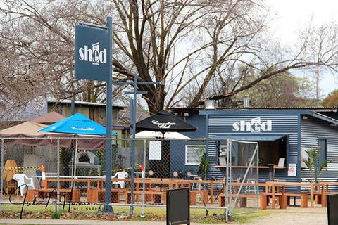 The SHED - Dentist Find 0