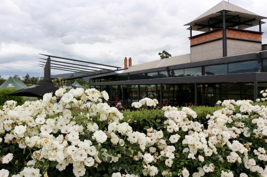 Isabella's Restaurant at Rochford Wines