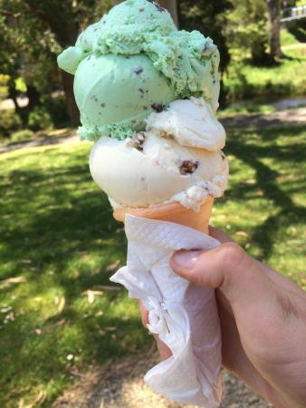 The Rainbow Ice Cream Shop