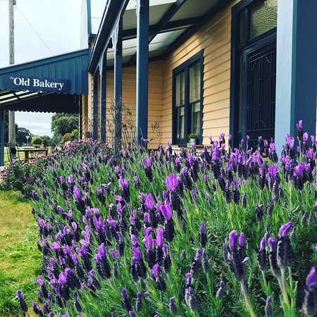 Dunkeld VIC Dentist Find