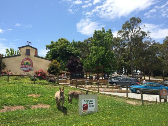Sherwood Park Orchard Bakery Cafe