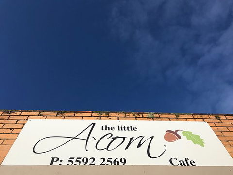 The Little Acorn - Dentist Find 0