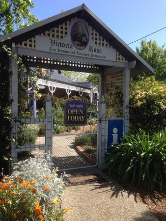 Victoria Rose Tea Rooms