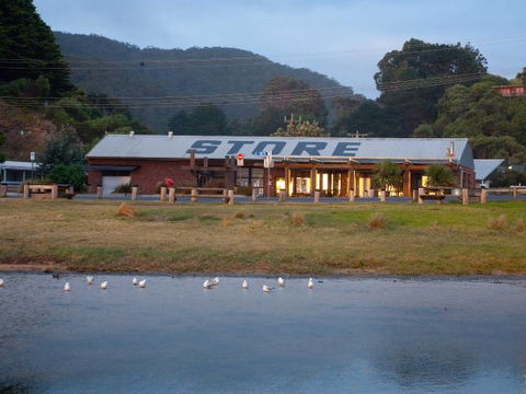 Wye General Store And Cafe - Dentist Search 0