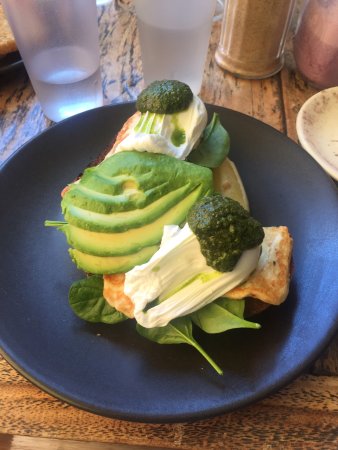 Coogee Courtyard - Dentist Find 0