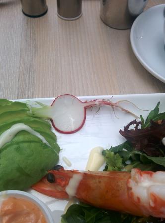 JJ's Cafe Restaurant