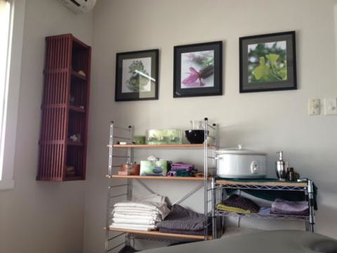 Steph Willacy Focus Health - Dentist Search 2