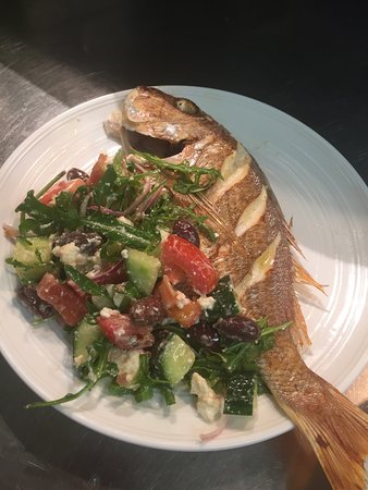 Cove Bar  Grill
