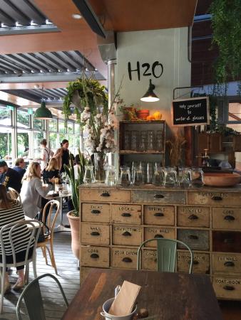 Hazelhurst Cafe - Dentists Australia 0