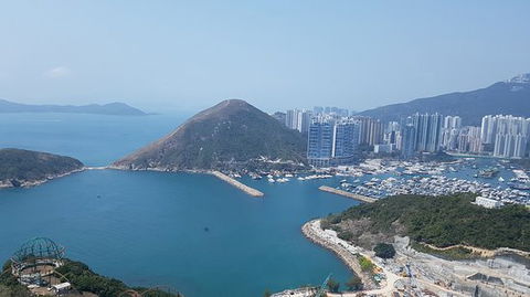Hong Kong Island Restaurant - Dentist Find 0