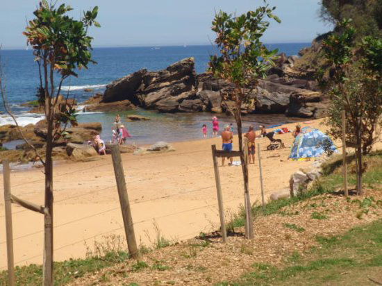 Killcare Surf Club