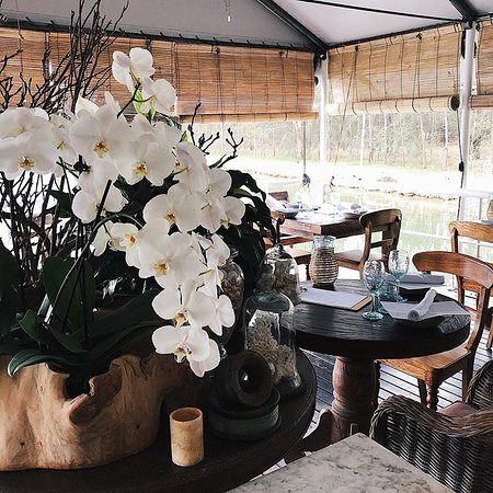 Leaves & Fishes - Dentist Find 0