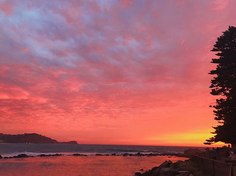 Point Cafe - Dentists Australia 0