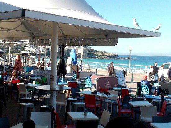 Surfish Bondi Seafood Cafe